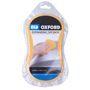Разширяваща се гъба Oxford