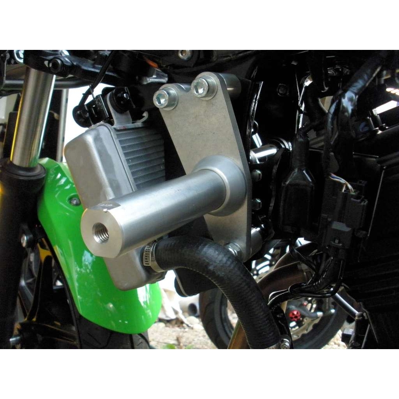 Kawasaki ZX-300R Classic