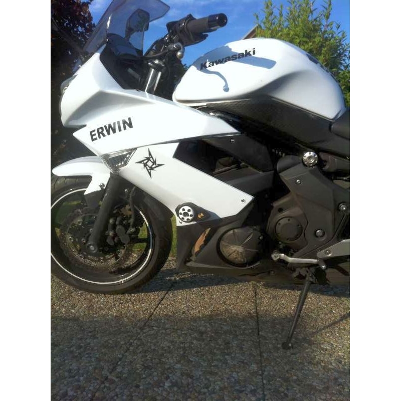 Kawasaki ER-6F (08-12) Classic