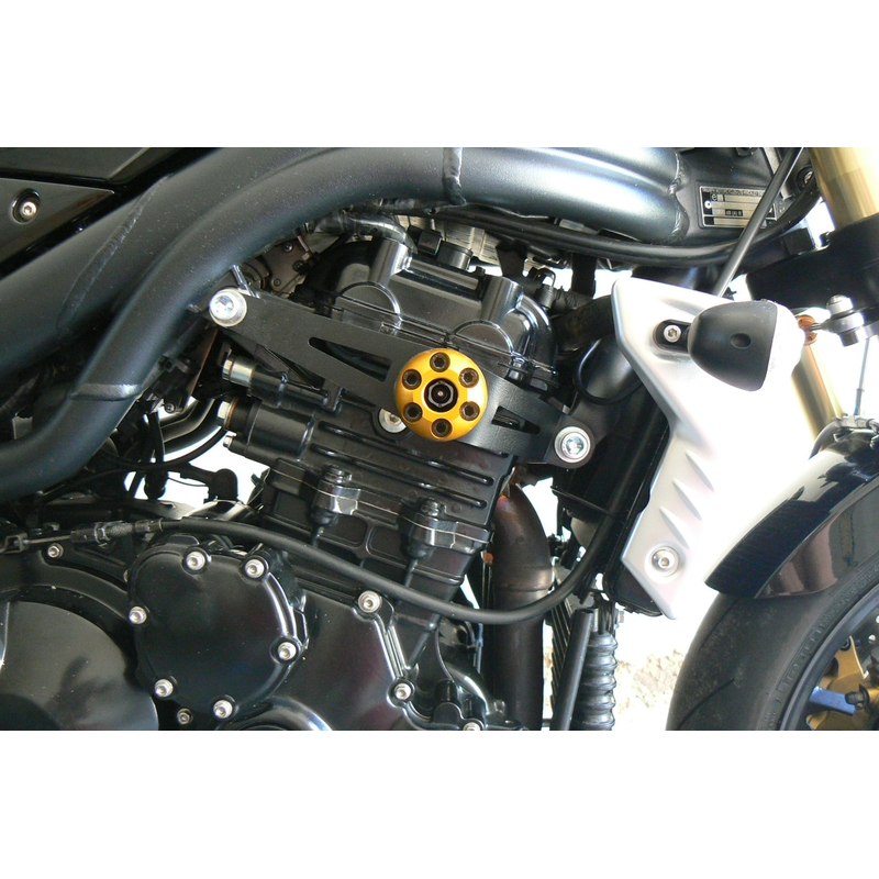 Triumph SPEED TRIPLE 1050 (05-10) Gatling